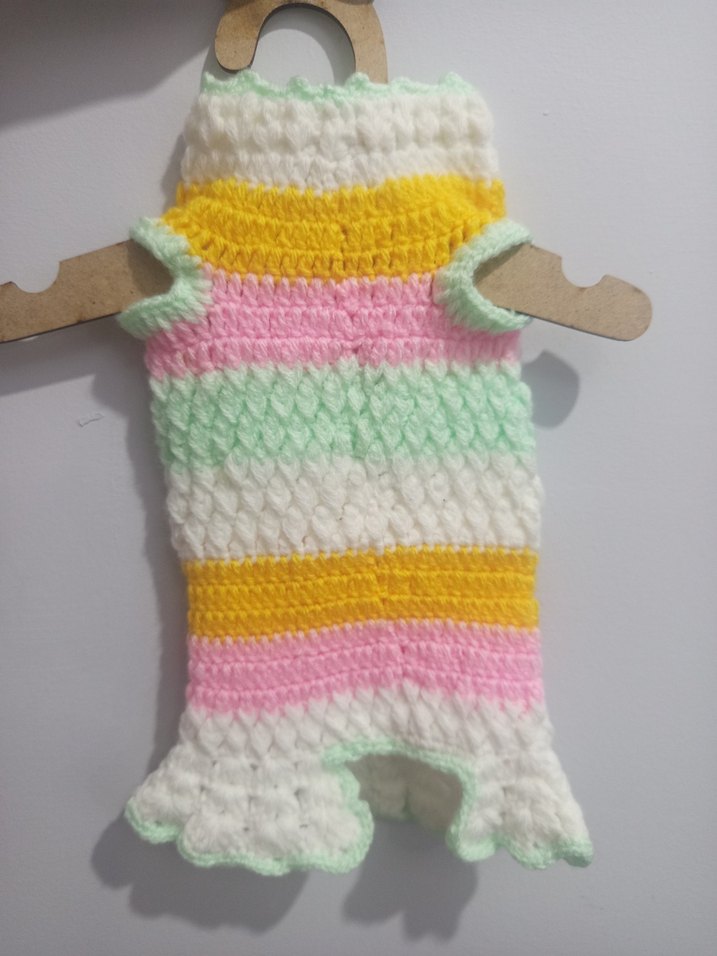 Bohem Tarzı Renkli Örgü Köpek Kıyafeti - Görsel 2