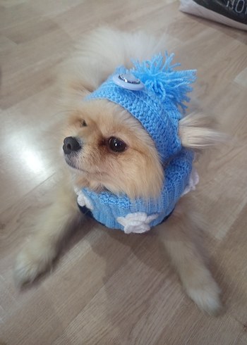 Nakışlı Mavi Örgü Köpek Kıyafeti - Görsel 3