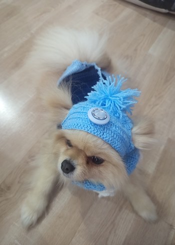 Nakışlı Mavi Örgü Köpek Kıyafeti - Görsel 4