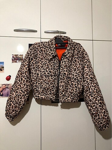 Leopar mont