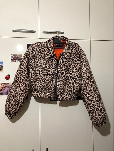 Zara Leopar mont