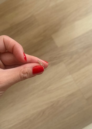 Dal pirlanta tragus, orjinal reis kuyumcu - Görsel 3