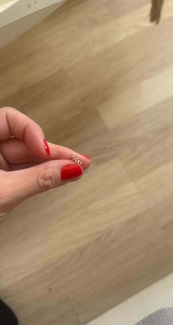 Dal pirlanta tragus, orjinal reis kuyumcu - Görsel 3