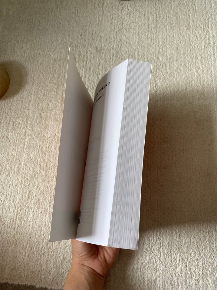 Kitle İletişim Hukuku Kitabı - Prof. Dr. Nusret İlker Çolak - Görsel 2