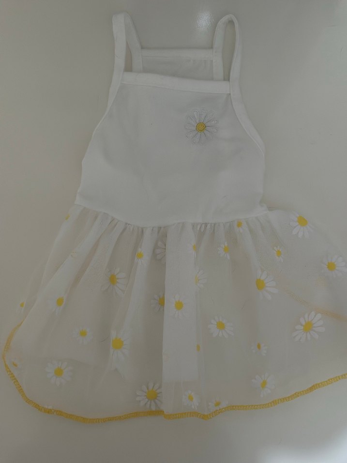 Kedi Beyaz Nakışlı Dantelli Elbise - Görsel 2