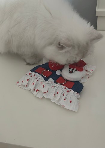 Kedi Renkli Fırfırlı Askılı Yelek - Görsel 3