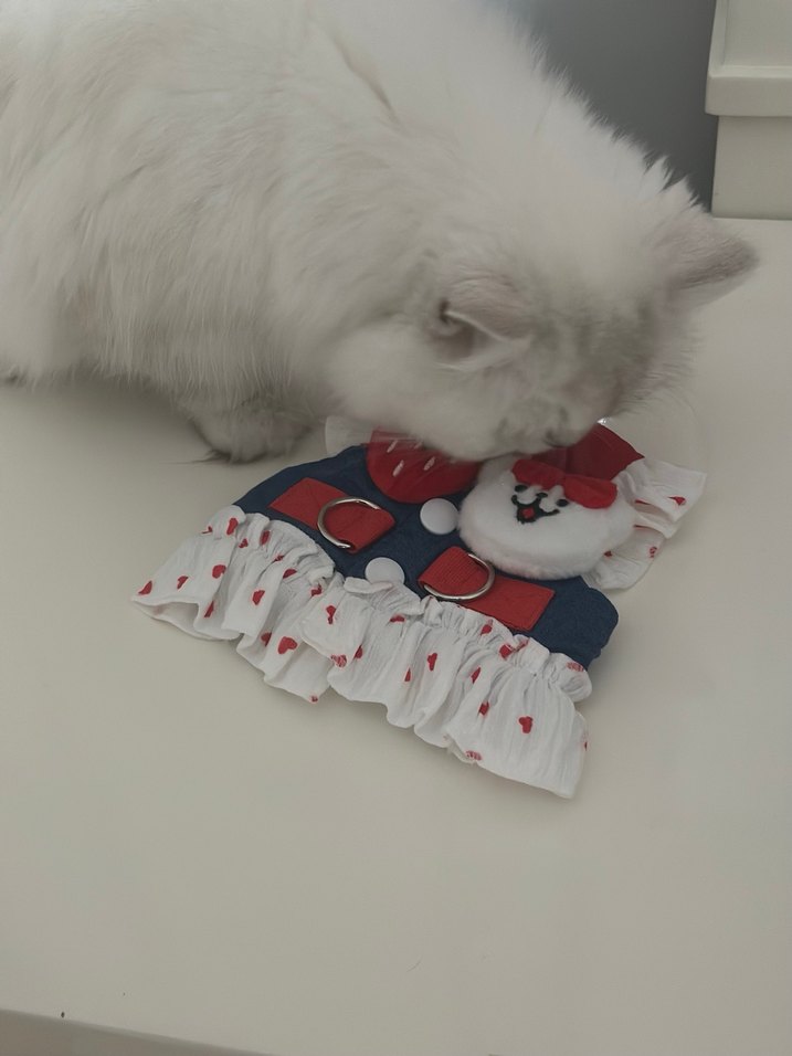 Kedi Renkli Fırfırlı Askılı Yelek - Görsel 3