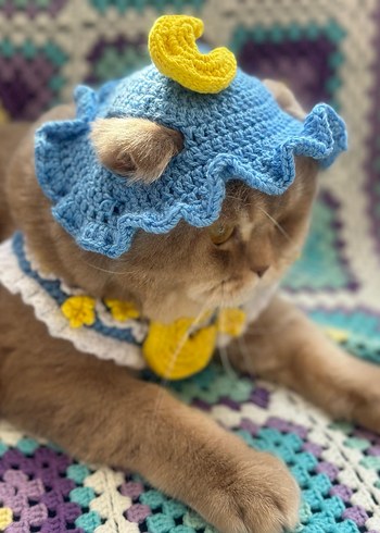 Kedi Şapkası ve Yakası - Görsel 2