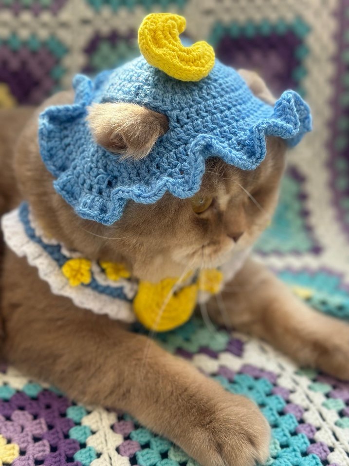 Kedi Şapkası ve Yakası - Görsel 2