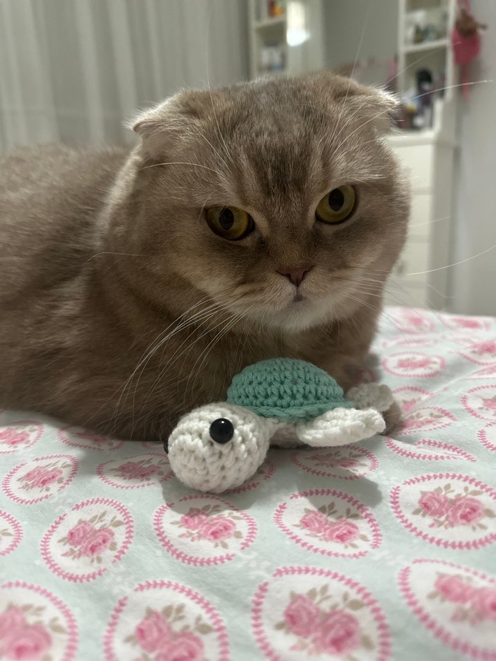 Örgü Kaplumbağa Kedi oyuncağı - Görsel 2