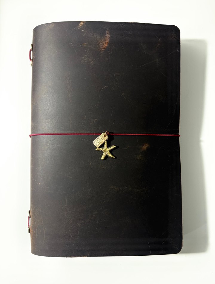 Louis Carmen Journal- Hakiki Deri Kılıf - Görsel 4