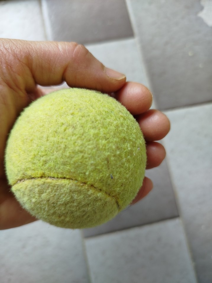 Sarı tenis Topu - Görsel 3