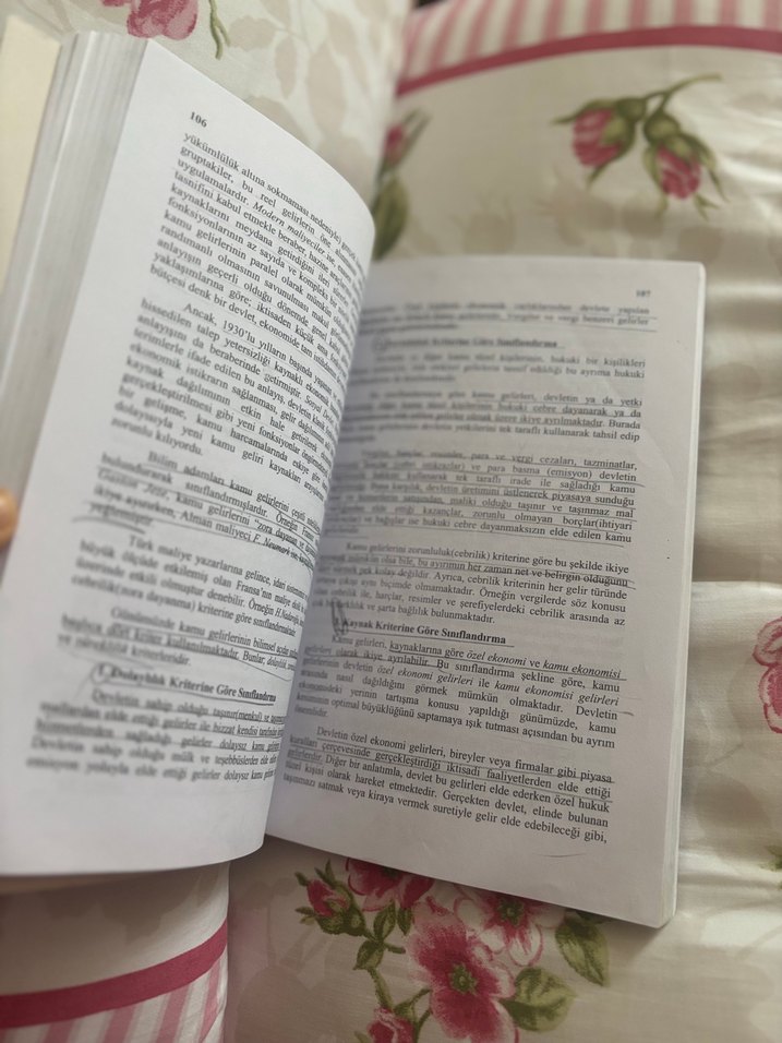 Kamu Maliyesi - Public Finance Kitabı - Görsel 2