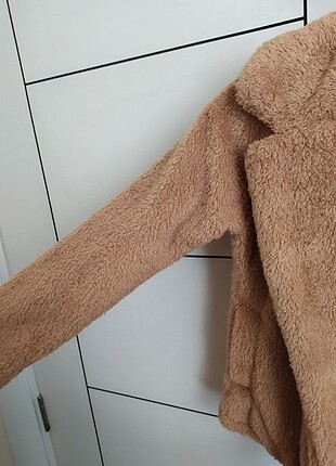s Beden Camel mont