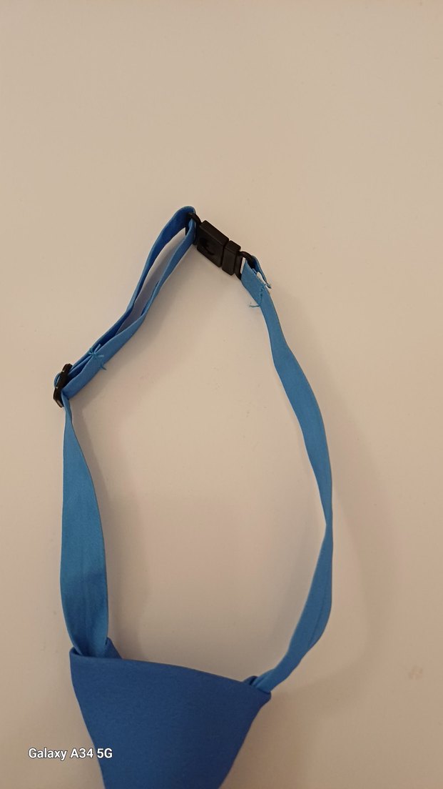 Mavi Sonic Temalı Çocuk Kravat - Görsel 3