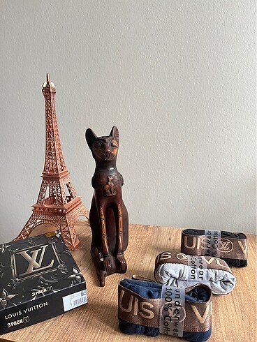 Lv boxer