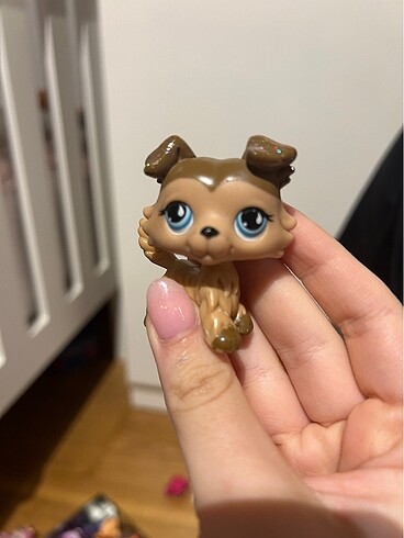 Lps miniş köpek