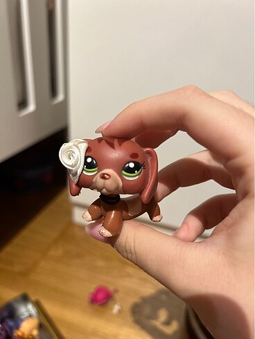 Lps miniş sosis köpek