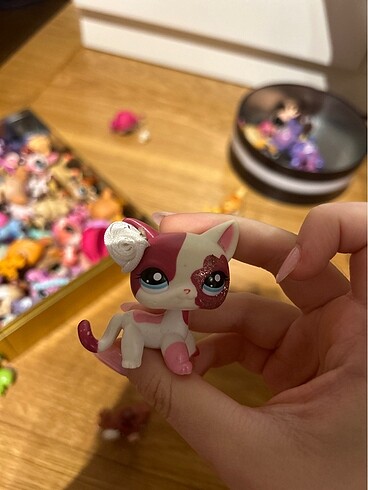 Lps miniş kedi