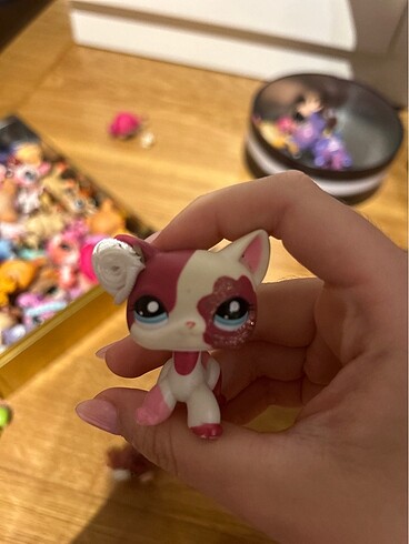  Lps miniş kedi