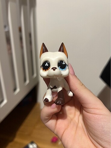 Lps miniş köpek