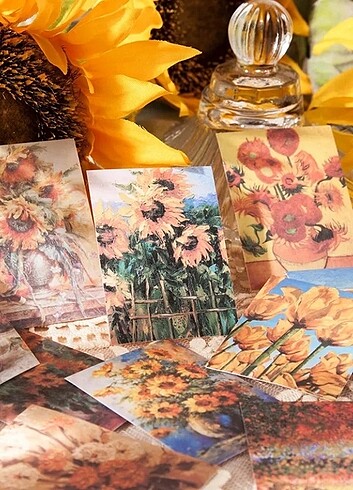 50 Adet Washi Sticker