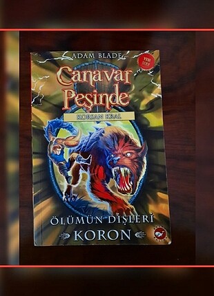 CANAVAR PEŞİNDE ÇOCUK KİTAPLARI 