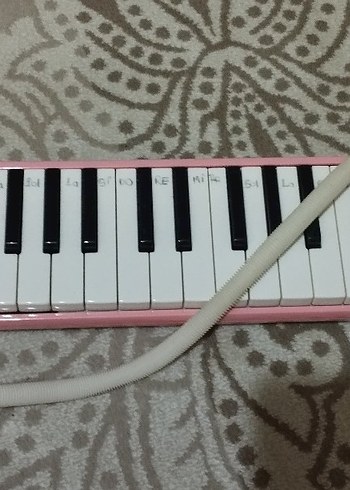 Pembe Melodika - Görsel 2