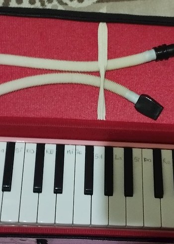 Pembe Melodika - Görsel 4