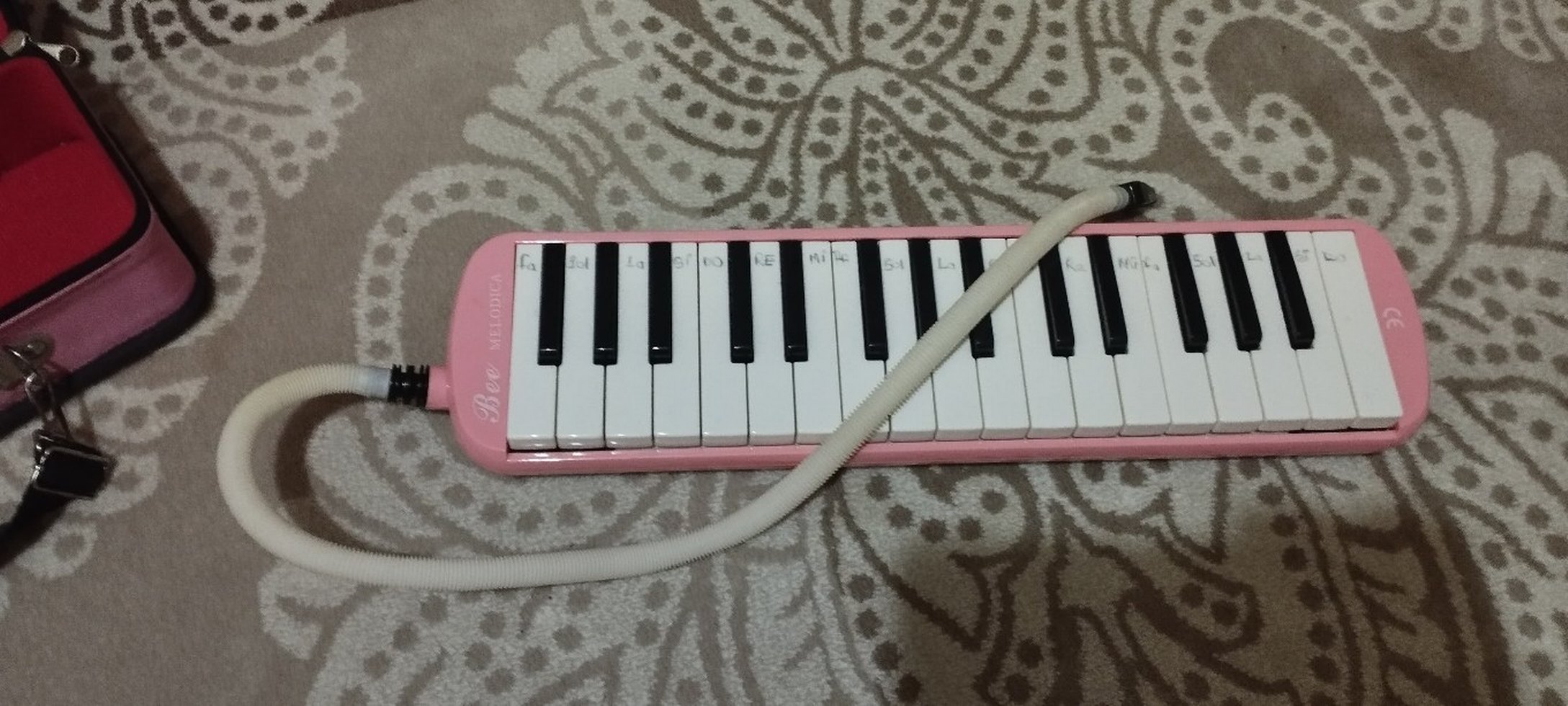 Pembe Melodika - Görsel 2