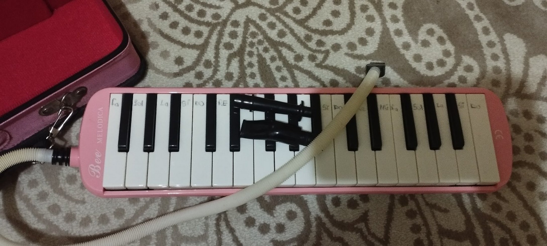 Pembe Melodika - Görsel 3