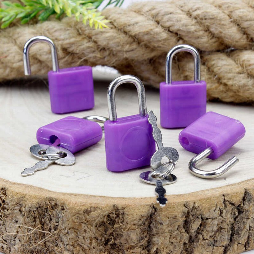 Mavi Kilitli Plastik Aksesuar - Görsel 2