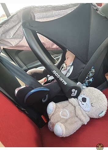 maxi cosi oto koltuğu 