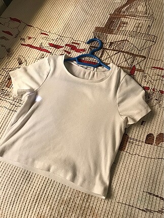 Crop t shirt