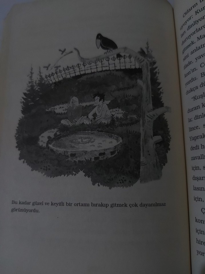 Gizli Bahçe Frances Hodgson Burnett - Görsel 3