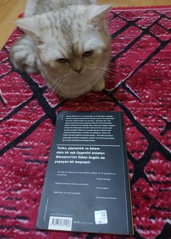 James Baldwin Giovanni'nin Odası - Görsel 2