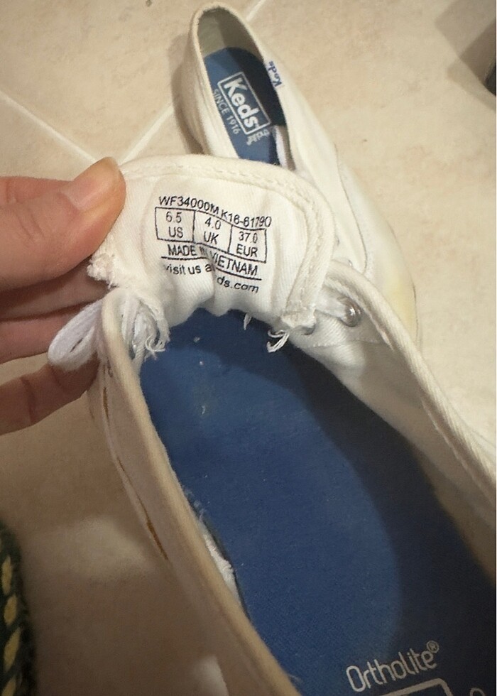 Orijinal keds champion kanvas ayakkabı - Görsel 3