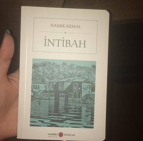 Namık Kemal intibah