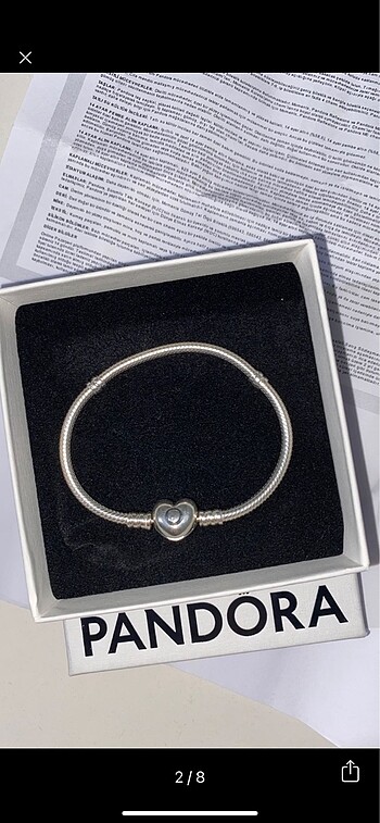 Pandora pandora