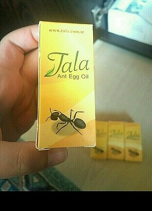 Karınca yumurtası yağı