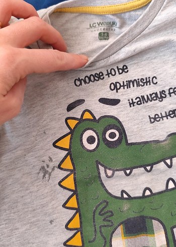 Gri Erkek Çocuk Uzun Kollu Baskılı Tişört - Görsel 5