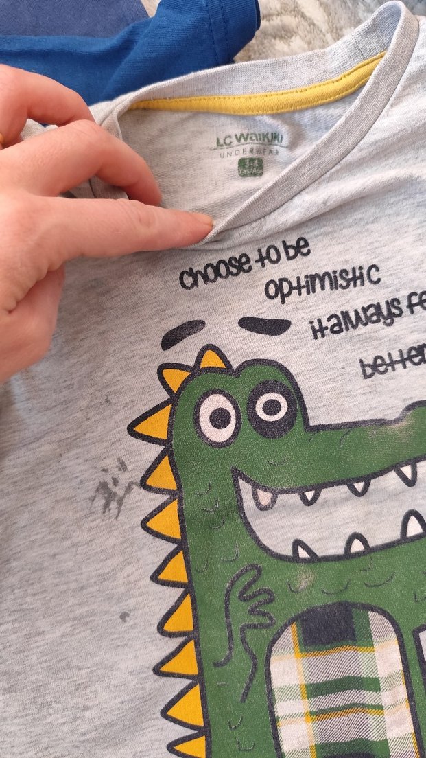 Gri Erkek Çocuk Uzun Kollu Baskılı Tişört - Görsel 5