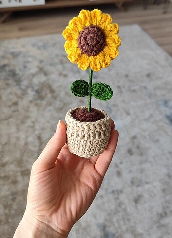 Ikea Örgü saksıda ayçiçeği