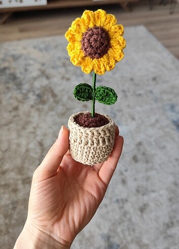 Mini ayçiçeği saksı