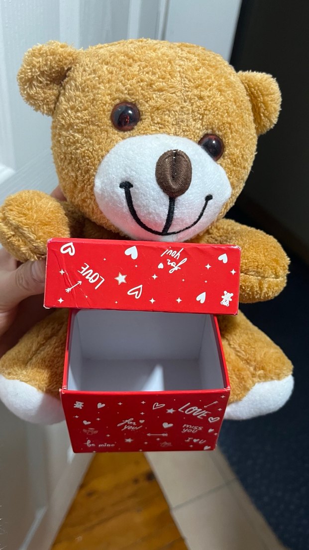 Sevimli Kahverengi Peluş Ayıcık - Görsel 3