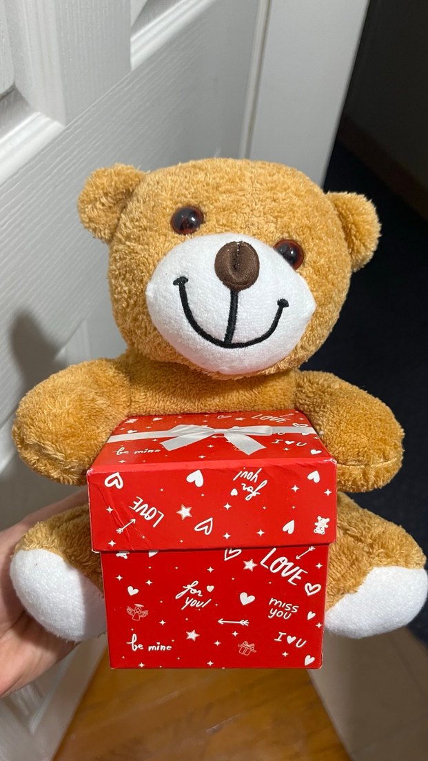 Sevimli Kahverengi Peluş Ayıcık - Görsel 2