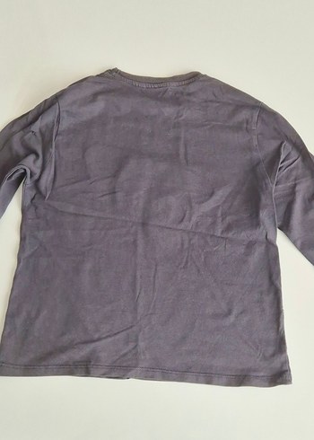 Zara Gri Baskılı Dinozor Desenli Çocuk Tişört