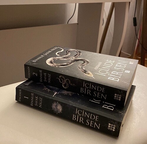 binnur safak nigiz icinde bir sen ilk iki kitap