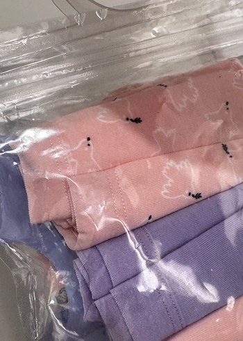 Penti Young Kız Çocuk 3'lü Pamuklu Mini Külot - Görsel 2