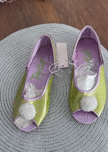 Walt Disney World 32